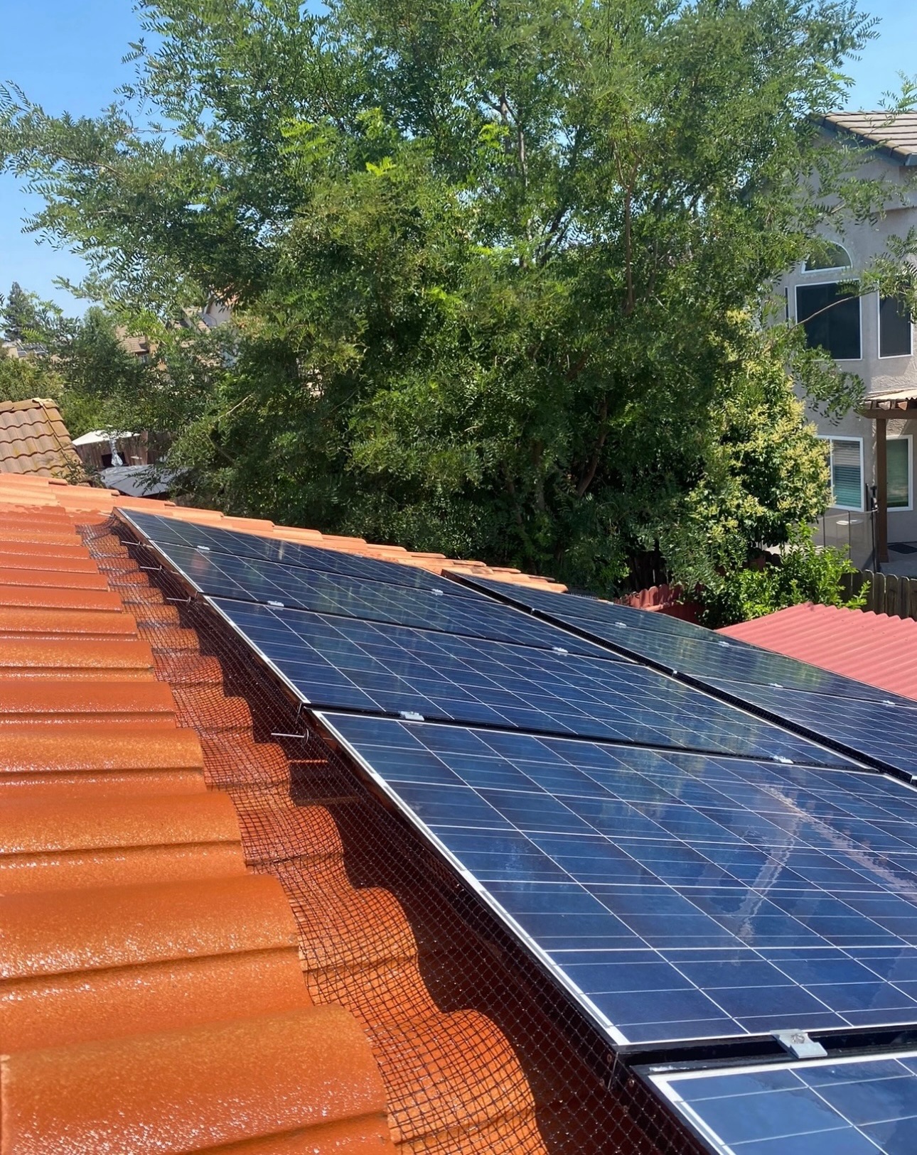 Finished bird proofing installation on solar panels